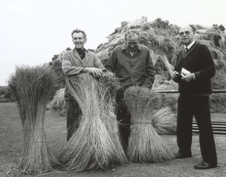 Henri Minne (Bissegem), samen met Eugene Baekelandt (Wevelgem), laatste vlasroter in de regio tot 1997, samen met Bert Dewilde, ere-conservator van het vlasmuseum